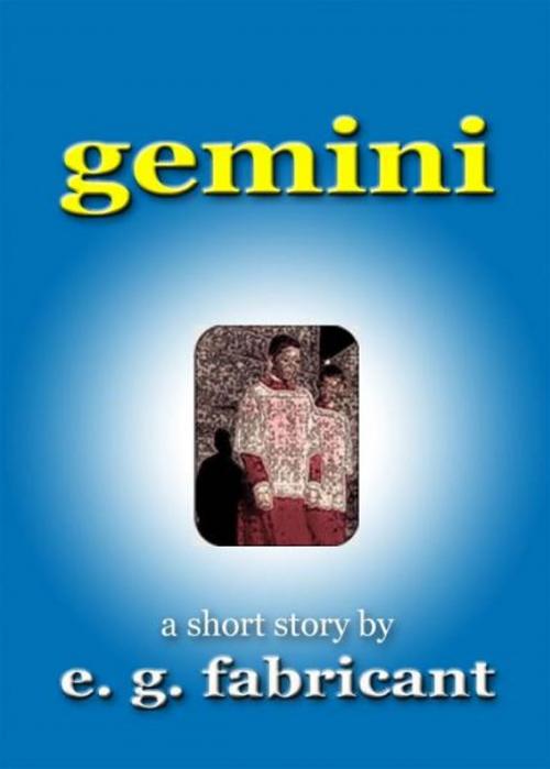 Cover of the book Gemini by E. G. Fabricant, E. G. Fabricant