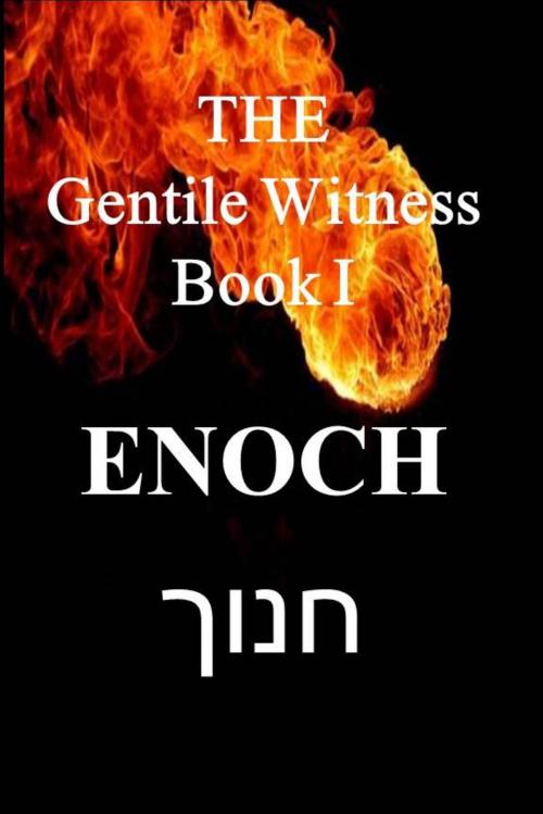 Cover of the book The Gentile Witness, Enoch Book I by Samuel David, Samuel David