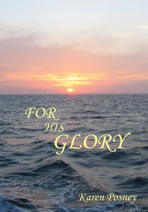 Cover of the book For His Glory by Karen Posney, Xlibris US