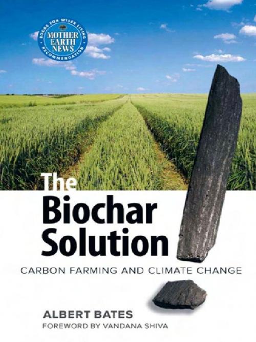Cover of the book Biochar Solution by Albert Bates, New Society Publishers