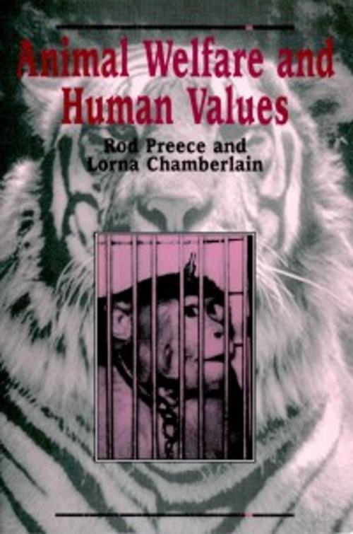 Cover of the book Animal Welfare and Human Values by Rod Preece, Lorna Chamberlain, Wilfrid Laurier University Press