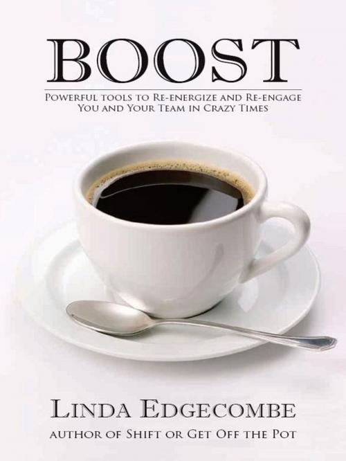 Cover of the book Boost: Powerful Tools to Re-energize and Re-engage You and Your Team in Crazy Times by Linda Edgecombe, Insomniac Press