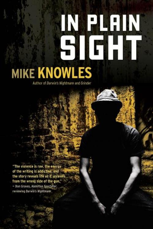 Cover of the book In Plain Sight by Mike Knowles, ECW Press