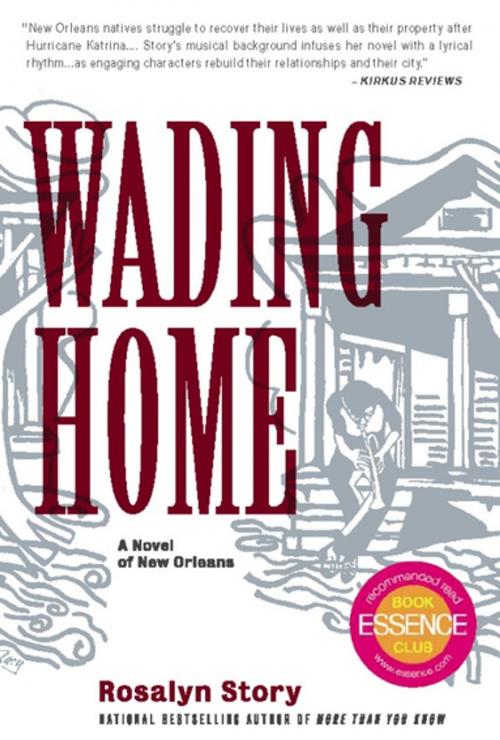 Cover of the book Wading Home by Rosalyn Story, Agate Publishing