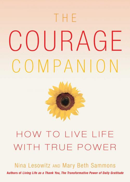 Cover of the book The Courage Companion by Nina Lesowitz, Viva Editions