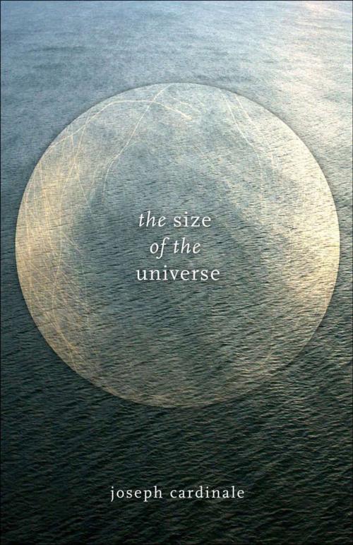 Cover of the book The Size of the Universe by Joseph Cardinale, University of Alabama Press
