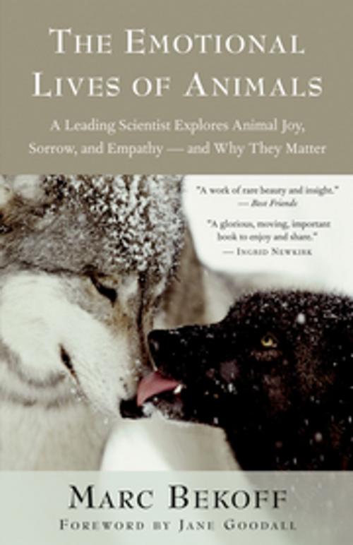 Cover of the book The Emotional Lives of Animals by Marc Bekoff, New World Library