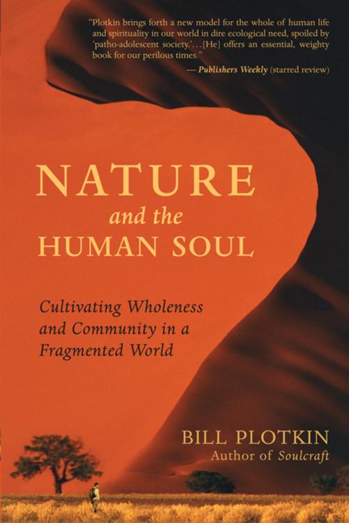 Cover of the book Nature and the Human Soul by Bill Plotkin, New World Library