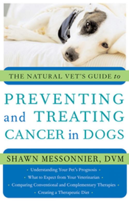 Cover of the book The Natural Vet's Guide to Preventing and Treating Cancer in Dogs by Shawn Messonnier, DVM, New World Library