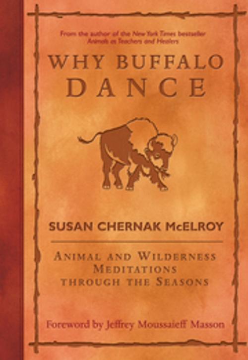 Cover of the book Why Buffalo Dance by Susan Chernak McElroy, New World Library