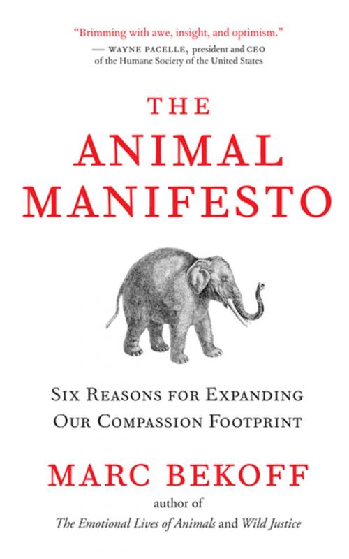 Cover of the book The Animal Manifesto by Marc Bekoff, New World Library