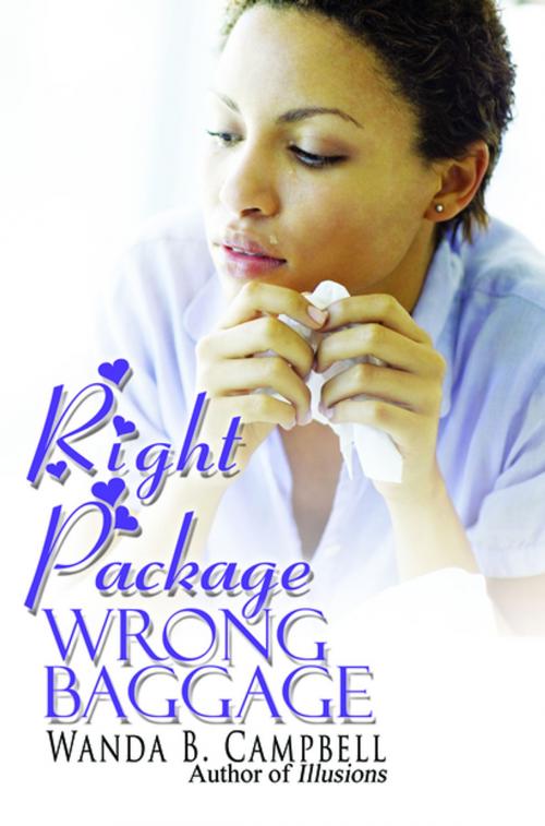 Cover of the book Right Package, Wrong Baggage by Wanda B. Campbell, Urban Books