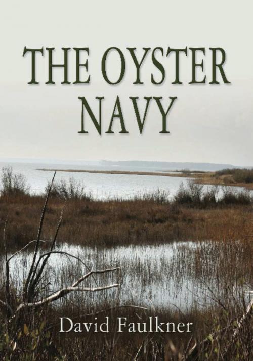 Cover of the book The Oyster Navy by David Faulkner, BookLocker.com, Inc.
