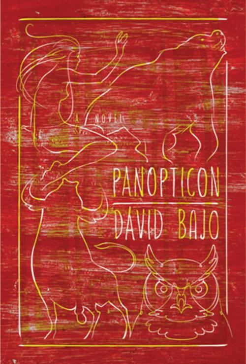 Cover of the book Panopticon by David Bajo, Unbridled Books