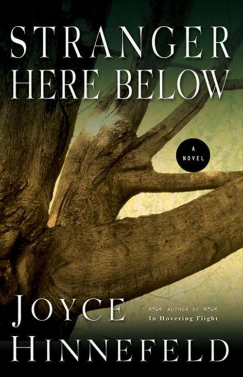 Cover of the book Stranger Here Below by Joyce Hinnefeld, Unbridled Books
