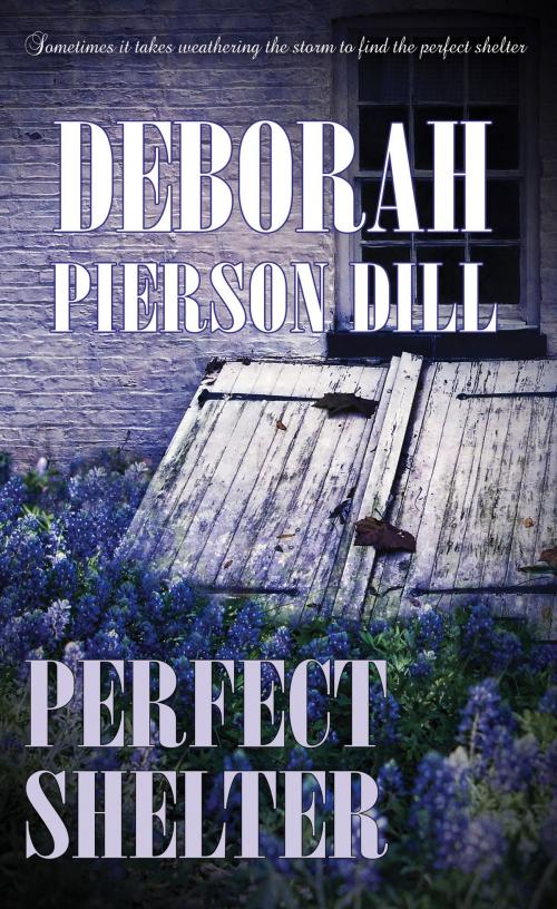 Cover of the book Perfect Shelter by Deborah Pierson Dill, Pelican Book Group