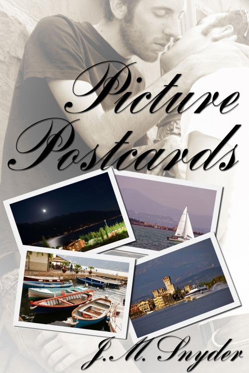 Cover of the book Picture Postcards by J.M. Snyder, JMS Books LLC