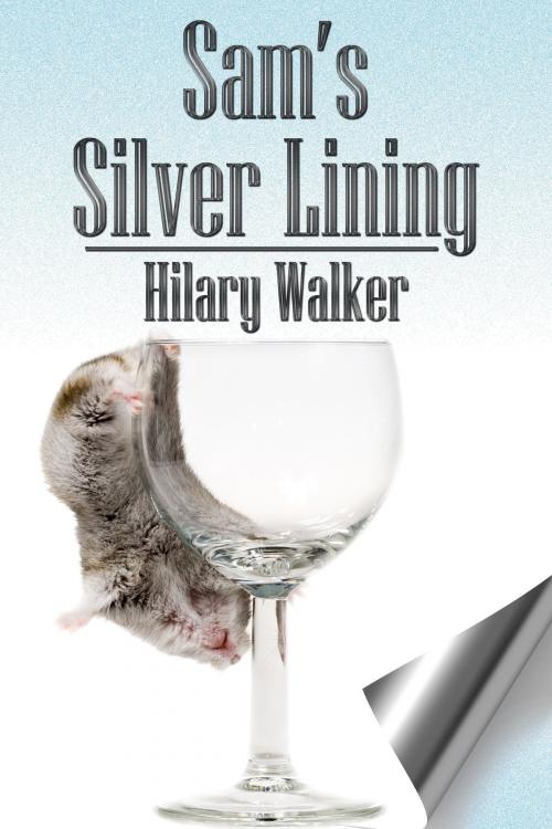Cover of the book Sam's Silver Lining by Hilary Walker, JMS Books LLC