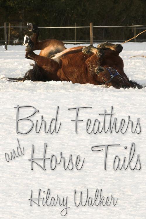 Cover of the book Bird Feathers and Horse Tails by Hilary Walker, JMS Books LLC