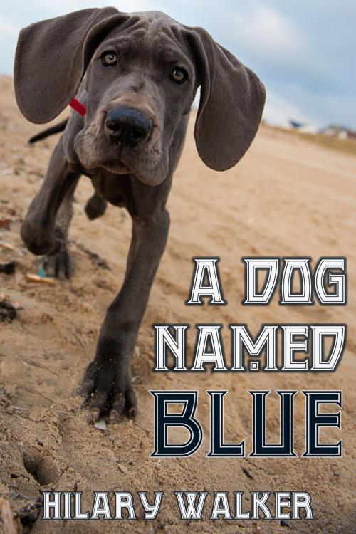 Cover of the book A Dog Named Blue by Hilary Walker, JMS Books LLC