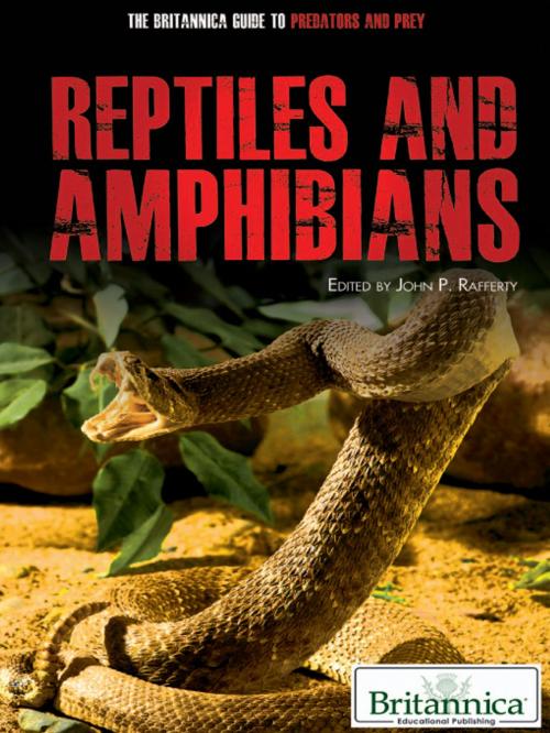 Cover of the book Reptiles and Amphibians by John P Rafferty, Britannica Educational Publishing