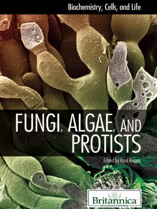 Cover of the book Fungi, Algae, and Protists by Kara Rogers, Britannica Educational Publishing