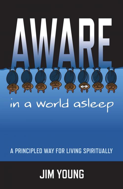Cover of the book Aware In A World Asleep: A Principled Wa by Jim Young, John Hunt Publishing