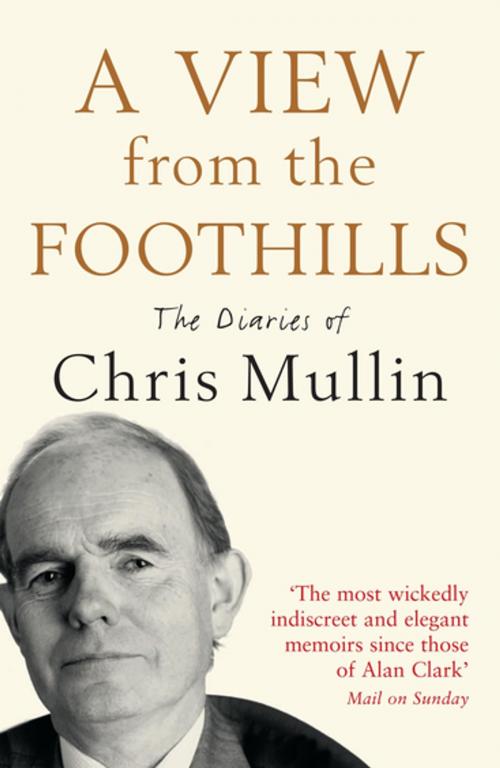 Cover of the book A View From The Foothills by Chris Mullin, Profile