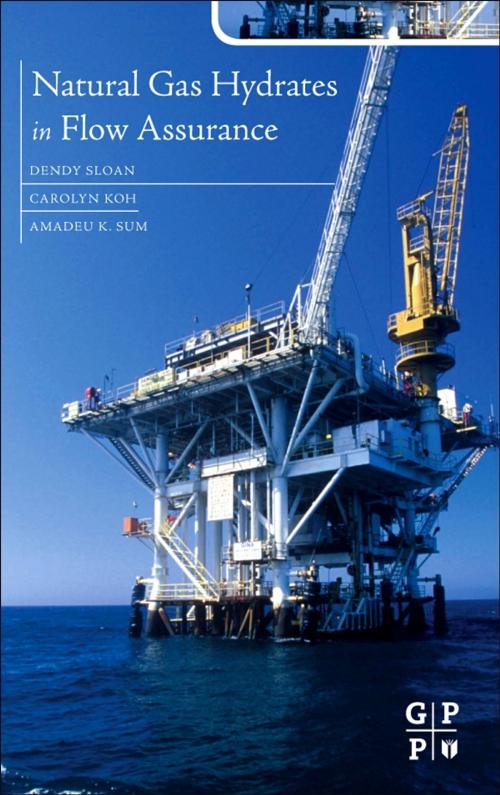Cover of the book Natural Gas Hydrates in Flow Assurance by E Dendy Sloan, Elsevier Science