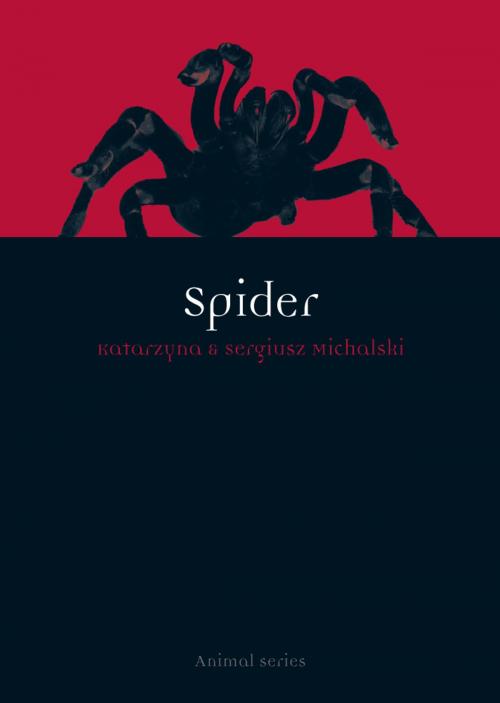 Cover of the book Spider by Katarzyna Michalski, Sergiusz Michalski, Reaktion Books