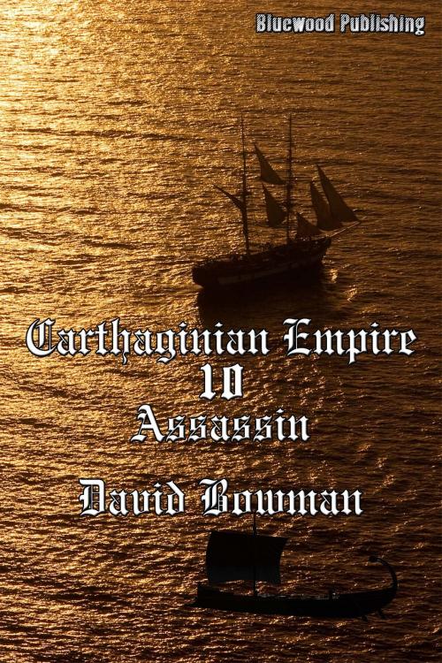 Cover of the book Carthaginian Empire 10: Assassin by David Bowman, Bluewood Publishing