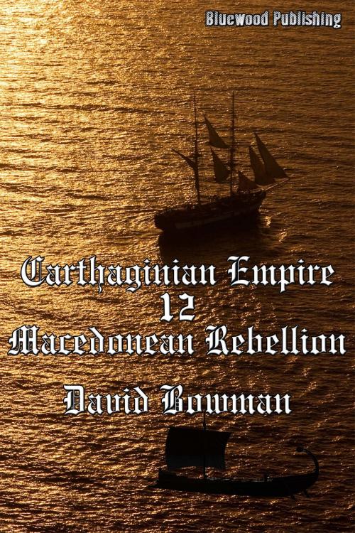 Cover of the book Carthaginian Empire 12: Macedonean Rebellion by David Bowman, Bluewood Publishing