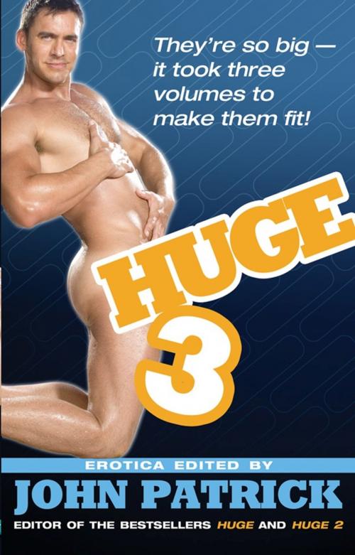 Cover of the book Huge 3 by , STARbooks Press
