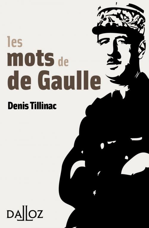 Cover of the book Les mots de de Gaulle by Denis Tillinac, Dalloz
