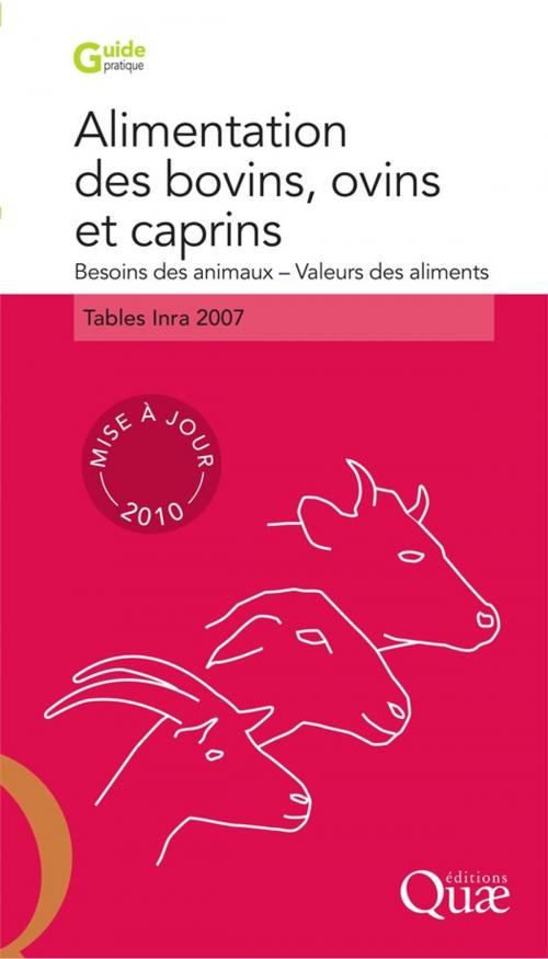 Cover of the book Alimentation des bovins, ovins et caprins. Besoins des animaux - Valeurs des aliments by Jacques Agabriel, Quae