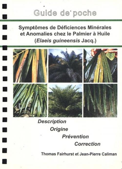 Cover of the book Symptômes de déficiences minérales et anomalies chez le palmier à huile (Elaeis guineensis Jacq.) by Thomas Fairhurst, Jean-Pierre Caliman, Quae