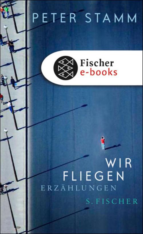 Cover of the book Wir fliegen by Peter Stamm, FISCHER E-Books