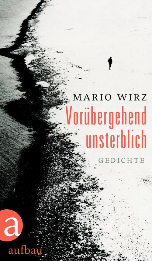 Cover of the book Vorübergehend unsterblich by Mario Wirz, Aufbau Digital