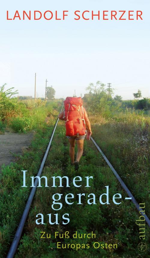 Cover of the book Immer geradeaus by Landolf Scherzer, Aufbau Digital
