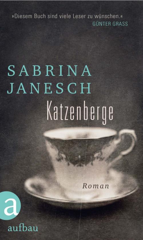Cover of the book Katzenberge by Sabrina Janesch, Aufbau Digital