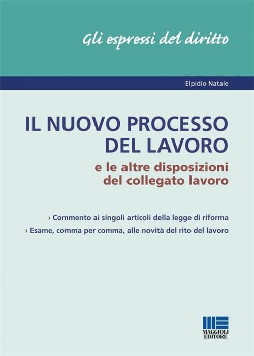 Cover of the book Il nuovo processo del lavoro by Elpidio Natale, Maggioli