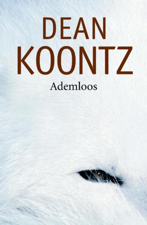Cover of the book Ademloos by Dean R. Koontz, Luitingh-Sijthoff B.V., Uitgeverij