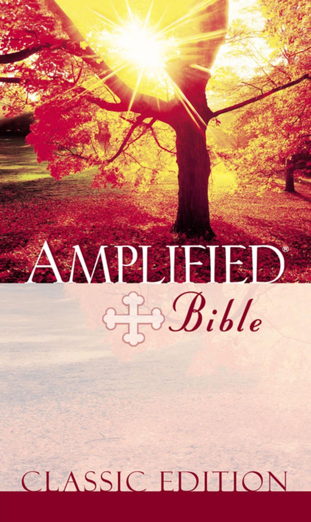 Big bigCover of Amplified Bible, eBook