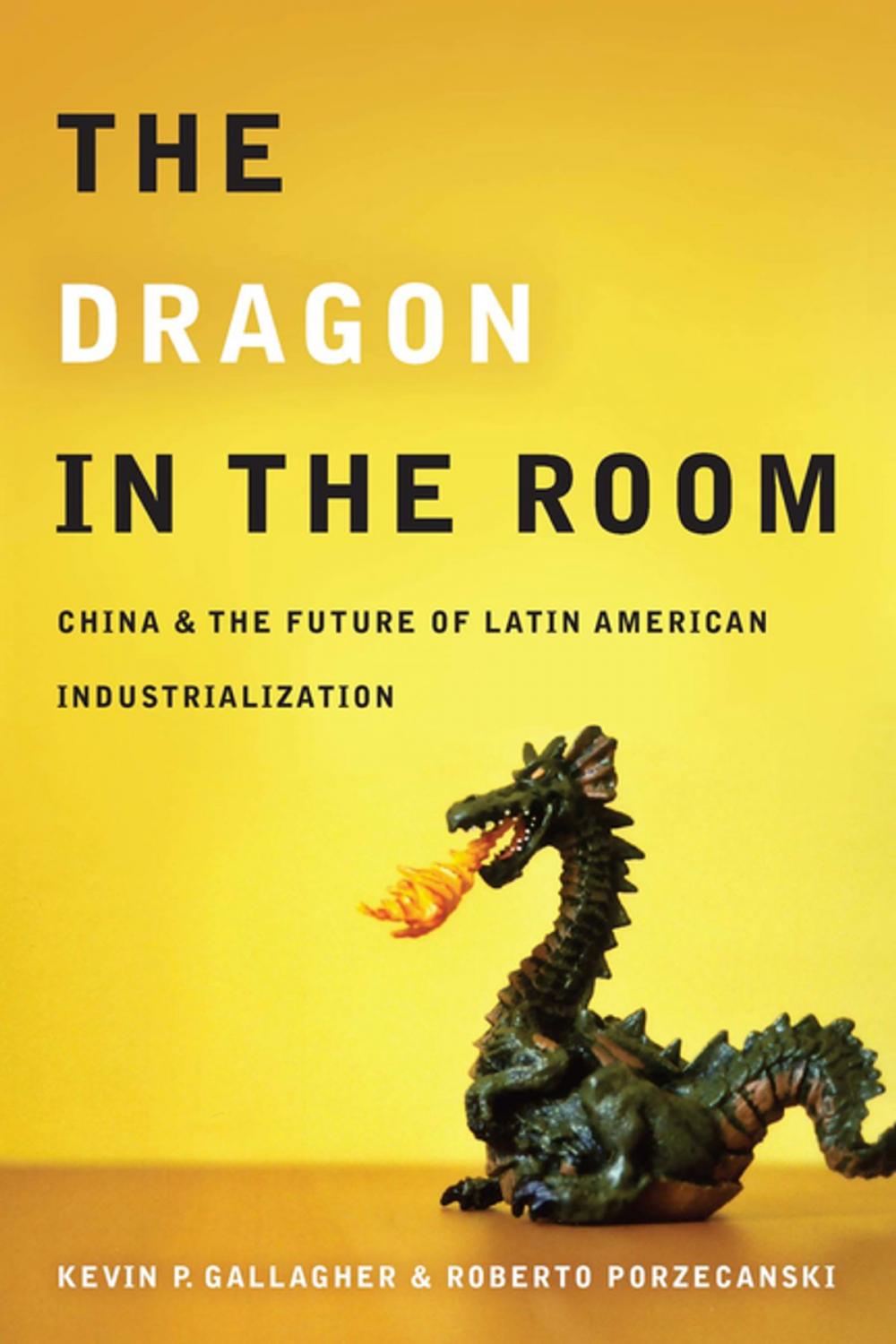 Big bigCover of The Dragon in the Room