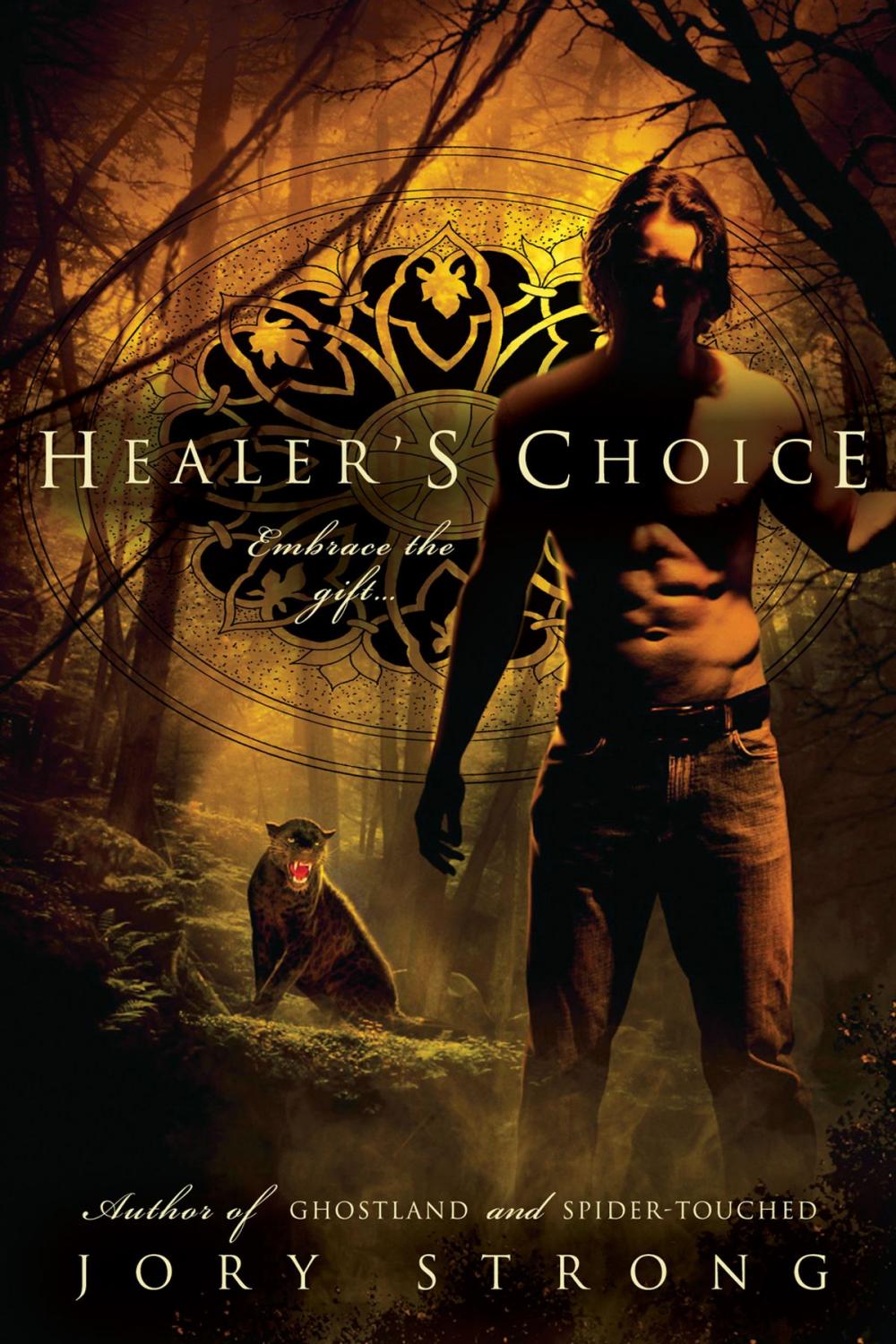 Big bigCover of Healer's Choice