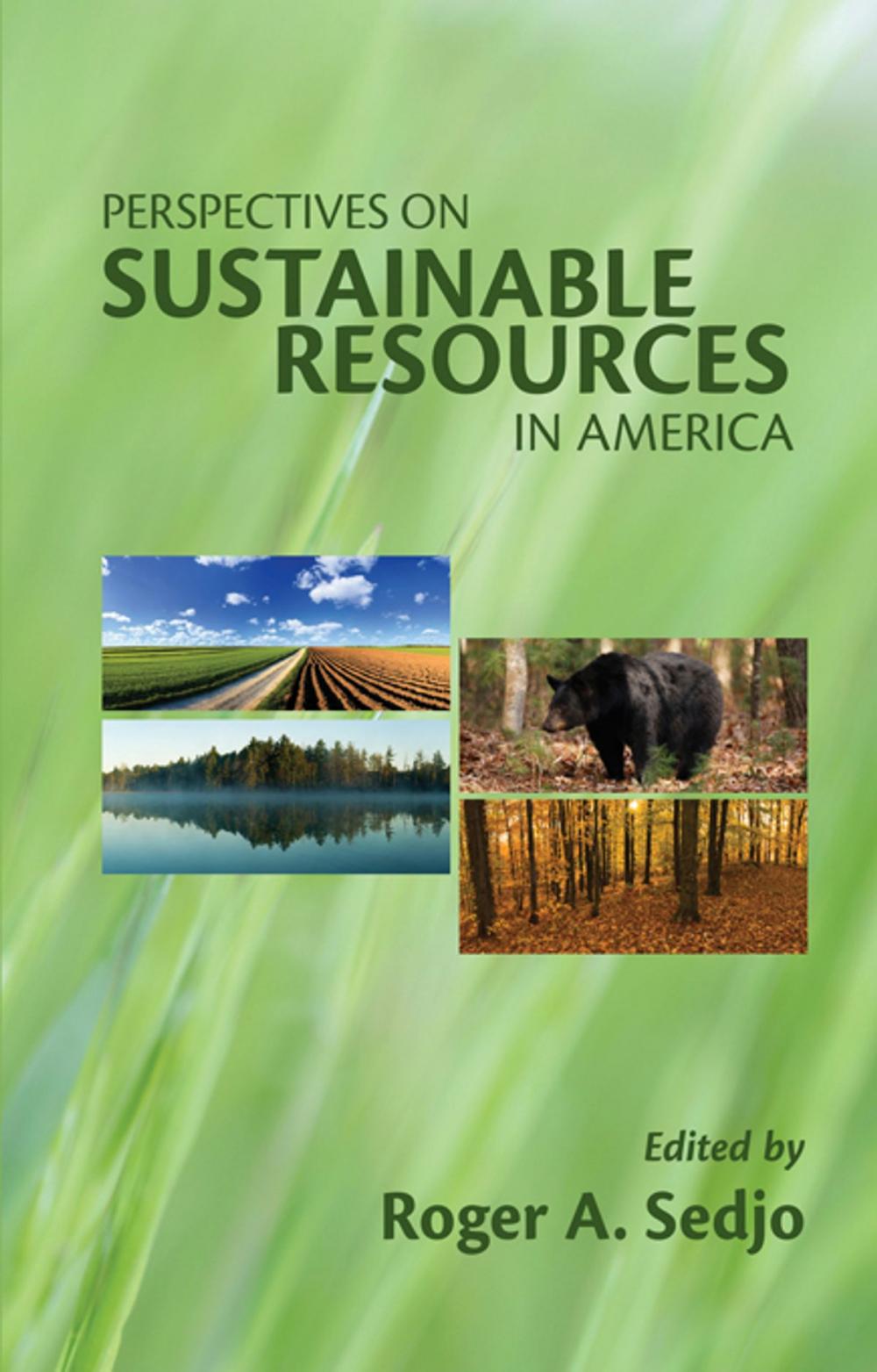 Big bigCover of Perspectives on Sustainable Resources in America