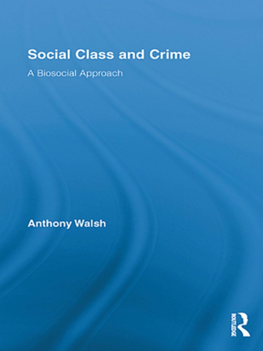 Big bigCover of Social Class and Crime