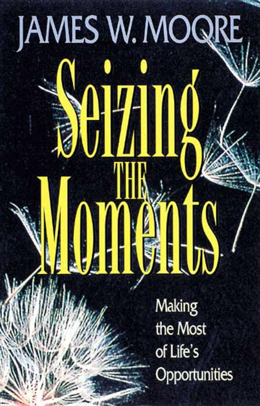 Big bigCover of Seizing the Moments