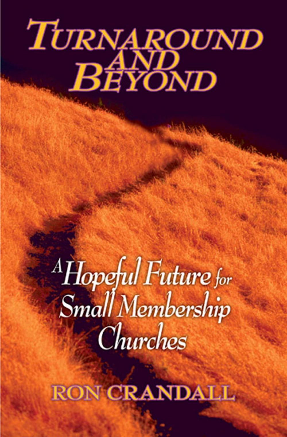 Big bigCover of Turnaround and Beyond: A Hopeful Future for the Small Membership Church