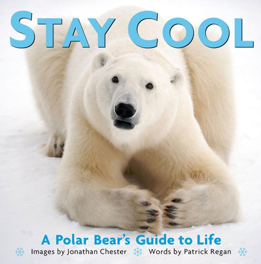 Big bigCover of Stay Cool: A Polar Bear's Guide to Life
